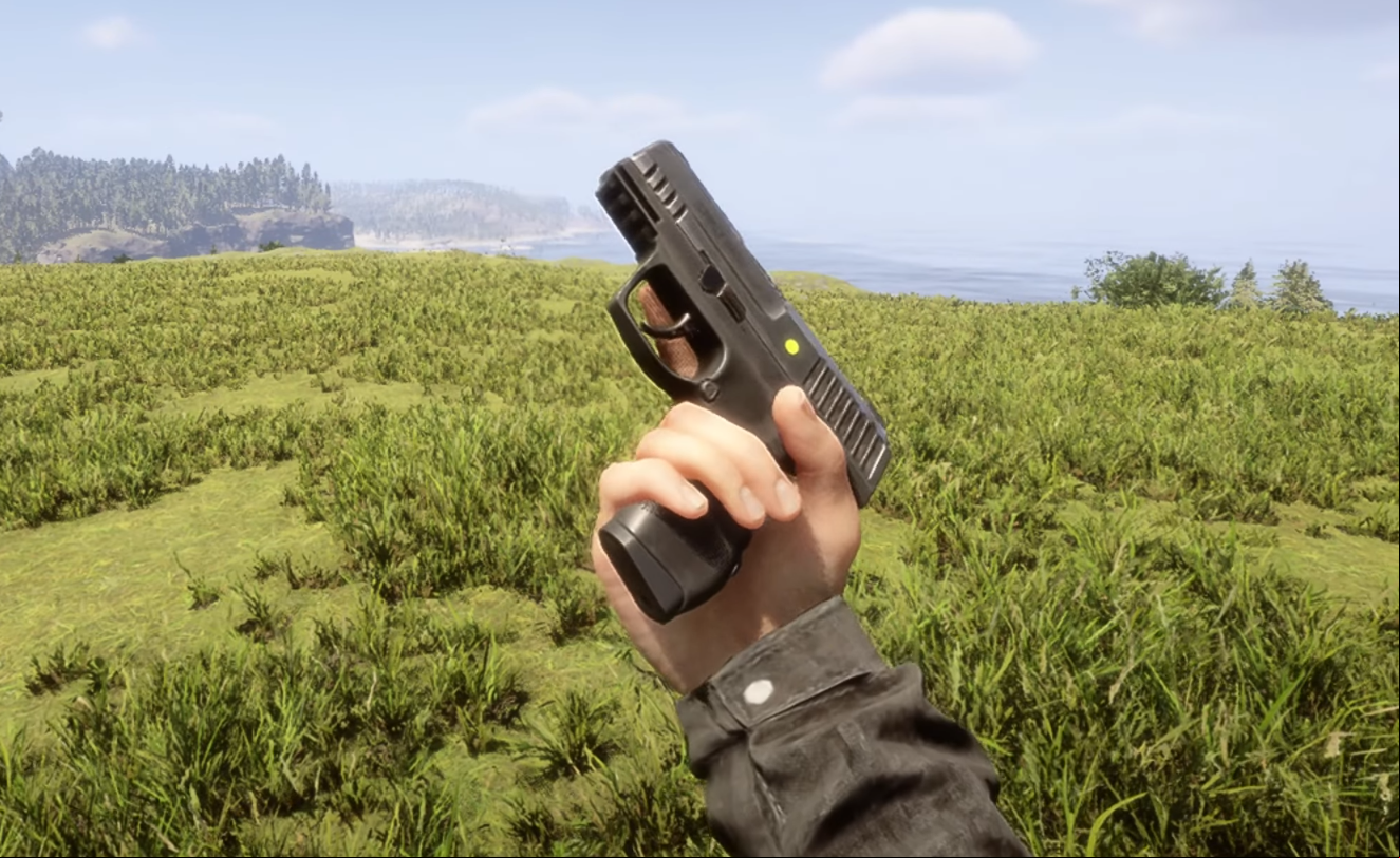 Pistol