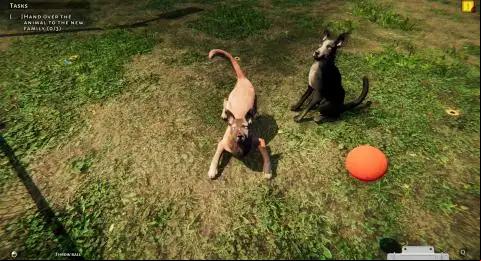 Animal Shelter
